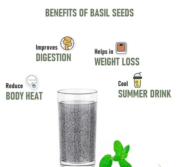 Raw Natural Fresh Sabja seeds or basil seeds